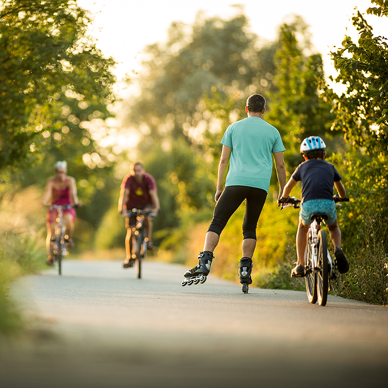 Personen und ein Kind fahren Fahrrad. Ein Mann fährt Inlineskater auf einem grünen Waldweg