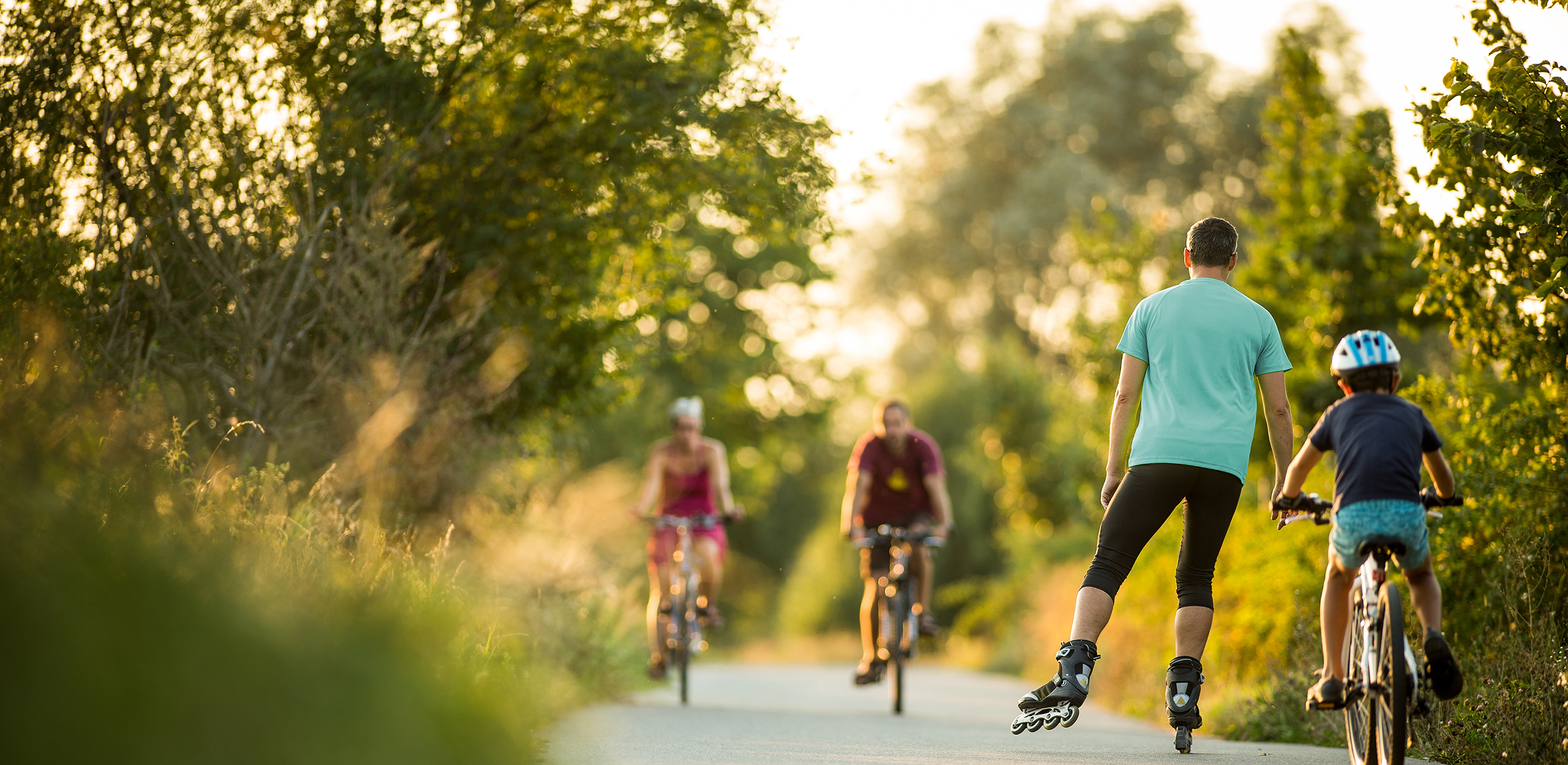 Personen und ein Kind fahren Fahrrad. Ein Mann fährt Inlineskater auf einem grünen Waldweg