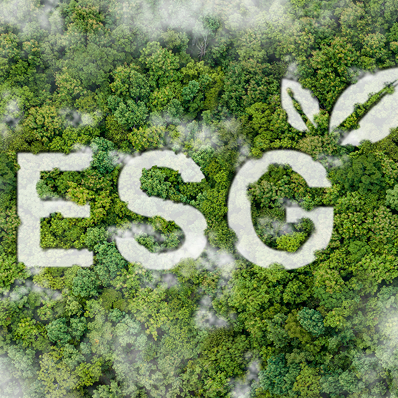 Ein Wald von oben mit Wolken und dem Schriftzug ESG