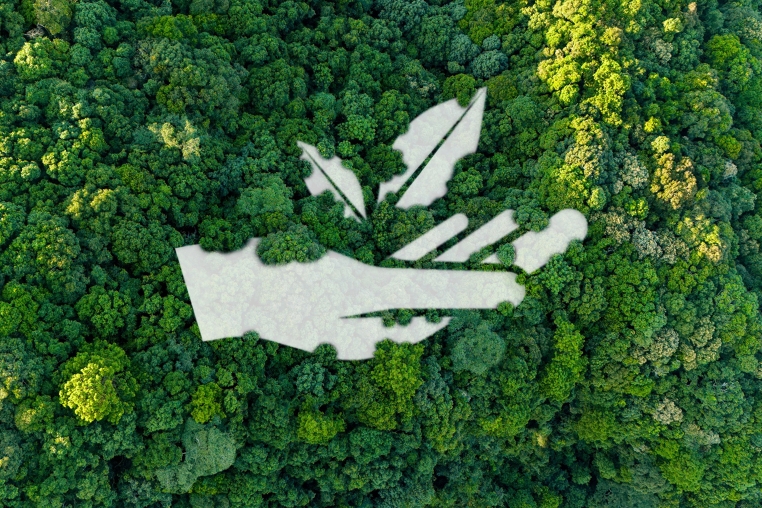 Ein dicht bewachsener Wald von oben, symbolisch sind in weiß Blätter abgebildet, die in einer Hand liegen.