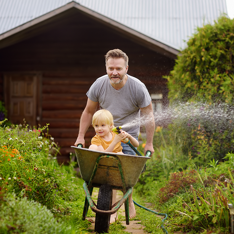 A man pushes a wheelbarrow while a young boy sitting inside uses a hose to water the garden flowers
