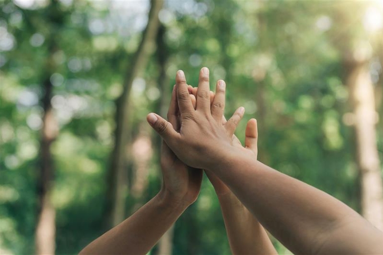 Collaboration Several hands in the center, symbolizing collaboration. A forest is visible in the background