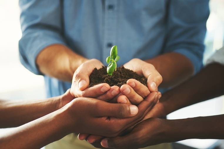 Inclusion Several hands in the center are holding soil with a small green plant